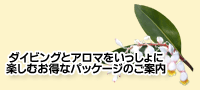 �_�C�r���O�ƃA���}����������Ɋy���ނ����ȃp�b�P�[�W�̂��ē�